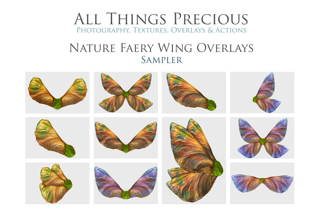 Fairy Wing Overlays For Photographers, Photoshop, Digital art and Creatives. Butterfly fairy wings, Png overlays for photoshop. Photography editing. High resolution, 300dpi. Overlay for photography. Digital stock and resources. Graphic design. Wings for Photos. Colourful Faerie Wings. Overlays for Edits.
